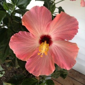 Meet your Posher, Kendra